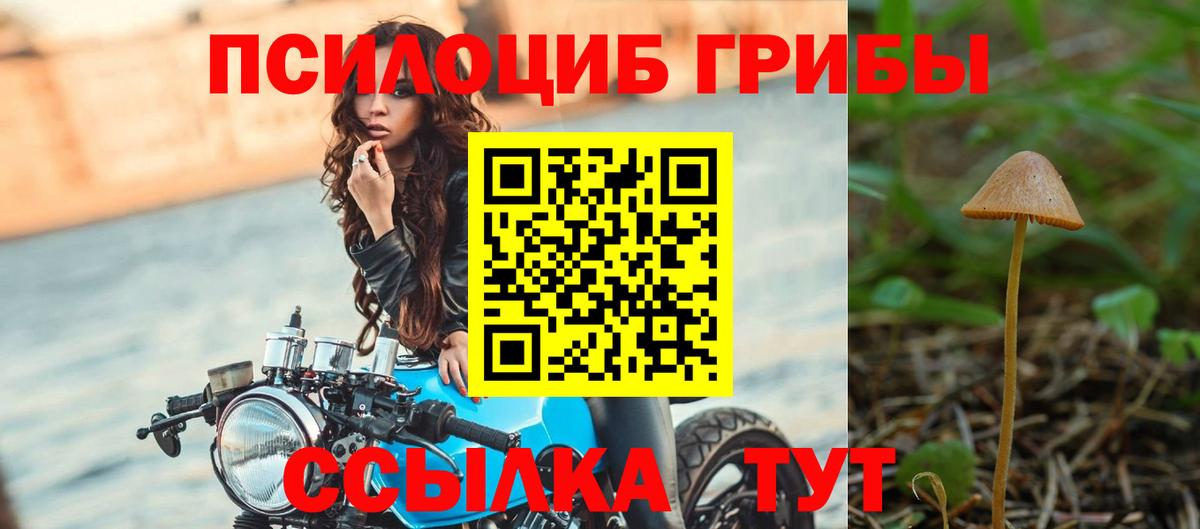 Псилоцибиновые грибы Psilocybe Сибай