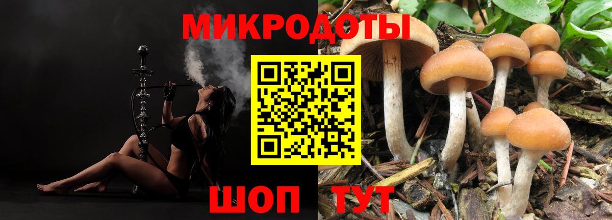 Галлюциногенные грибы прущие грибы  Вход с VPN  Сибай 